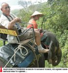 Толя ещё будет!