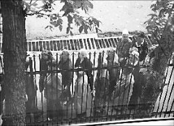 Чудо - в койку!