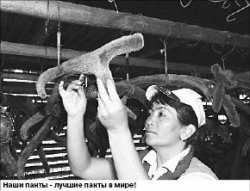 Маральный кодекс