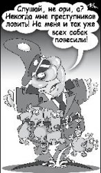 У кого есть ситчик веселенькой расцветки?