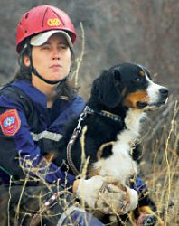 В готовности к разлому - наша сила