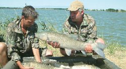 С удочкой - в ферзи