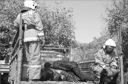 Скорбные проводы, горькие слёзы