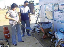 Как из навоза сделать “виспу”