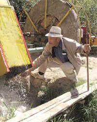 Один в поле - воин