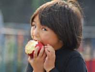 Эх, яблочко - да с баурсаками!