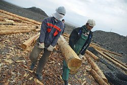 Спят курганы тёмные