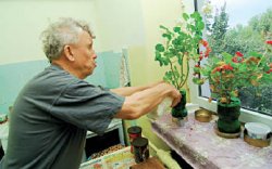 Жизнь без ориентиров