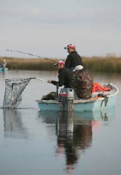 Не клёво без клёва