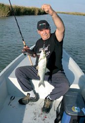 Не клёво без клёва