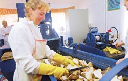 Свой сахар слаще чужого