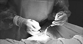 Как остаться с носом?