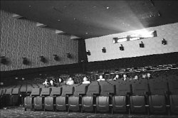 Кто катит бочку на прокат?