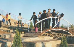 Намолили чудеса