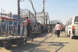 Такие цены - позеленеешь!