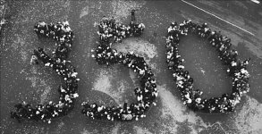 Наша норма - 350