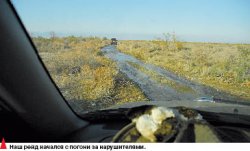 Охота на охотников