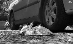 Есикская пленница