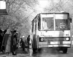 Жизнь - “зебра”