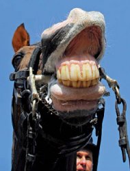 Изящный ход конём