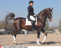 Изящный ход конём