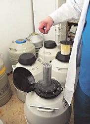 Замороженный вклад