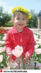 Зимняя сказка