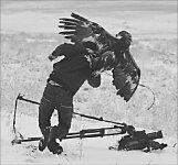 Одно неверное движение, и ты - добыча