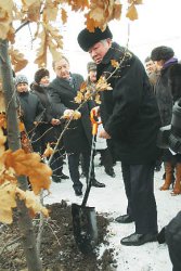 Пусть дубы крепчают