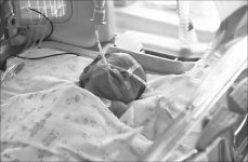 Спасти свою кровиночку