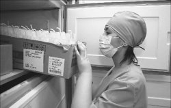 Бог не выдаст, “свинья” не съест