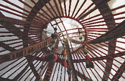 Утиная неохота