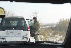 Утиная неохота