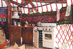 Утиная неохота