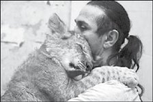 Как приучить тигра