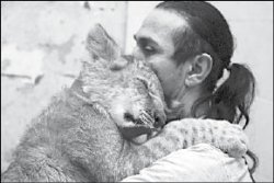 Как приучить тигра