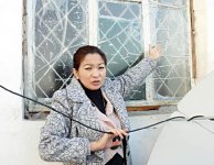 Идет охота на собак