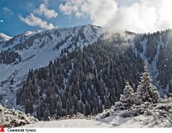 Снимали два товарища