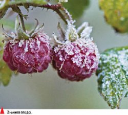 Снимали два товарища