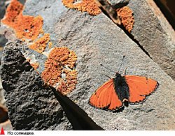 Снимали два товарища