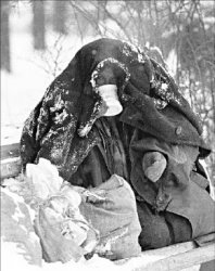 Ледниковый период