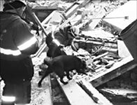 Полный завал