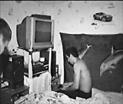 Горе от кума