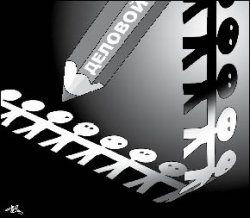 Чьи вы, хлопцы, будете?