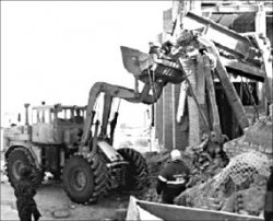 Поиск без надежды