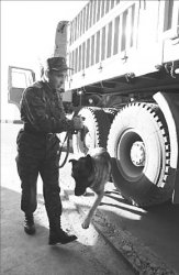 Границы разумного