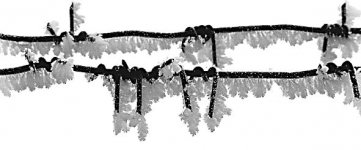 “Красные” бунтуют?