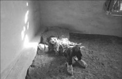 Камера до камеры доведёт