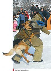 Жертвы “апорта”