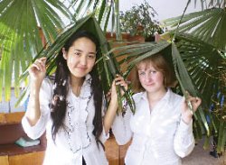 Под сенью пальм и сикомор…